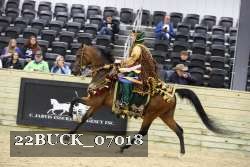 22BUCK_07018 proof