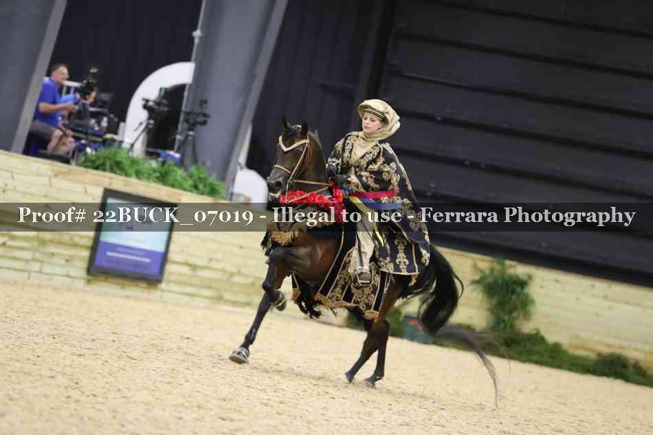 Proof 22BUCK_07019