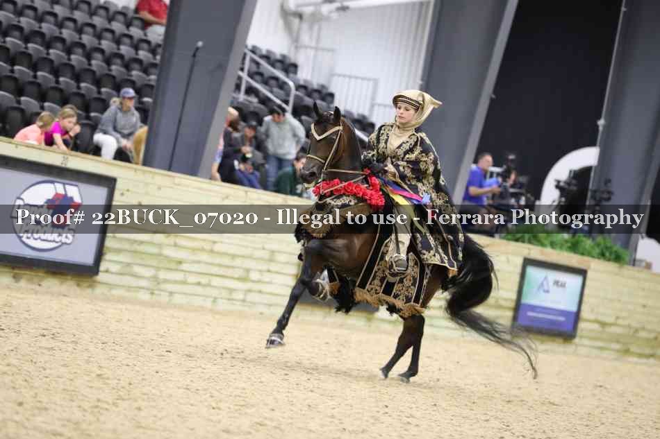 Proof 22BUCK_07020