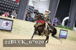 22BUCK_07020 proof