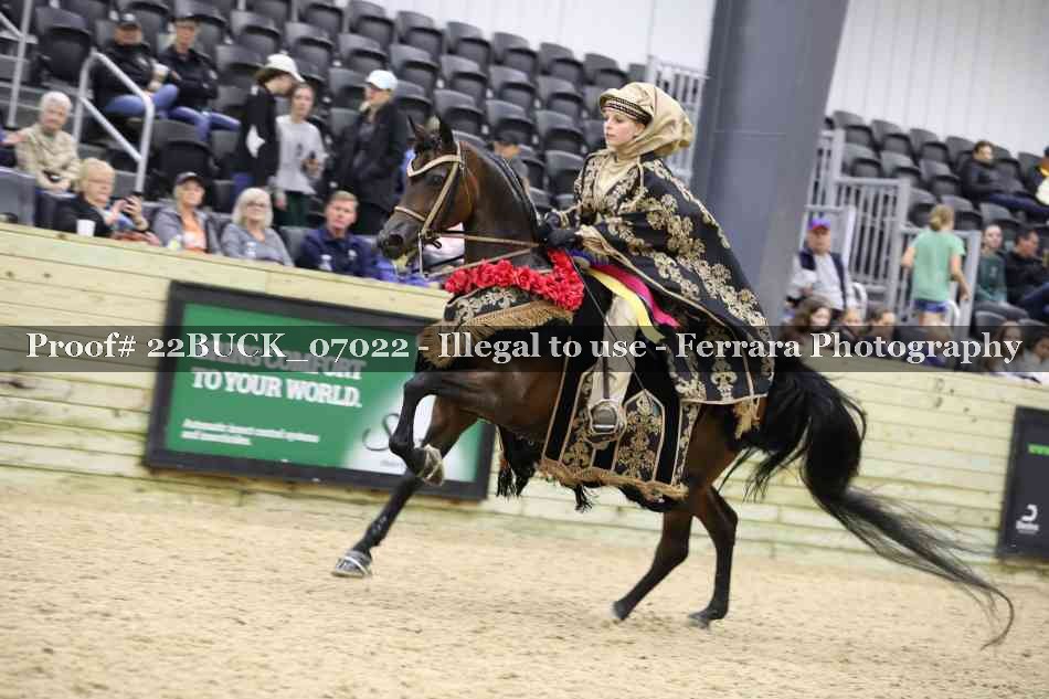Proof 22BUCK_07022