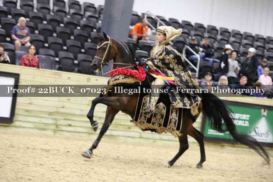 Proof 22BUCK_07023