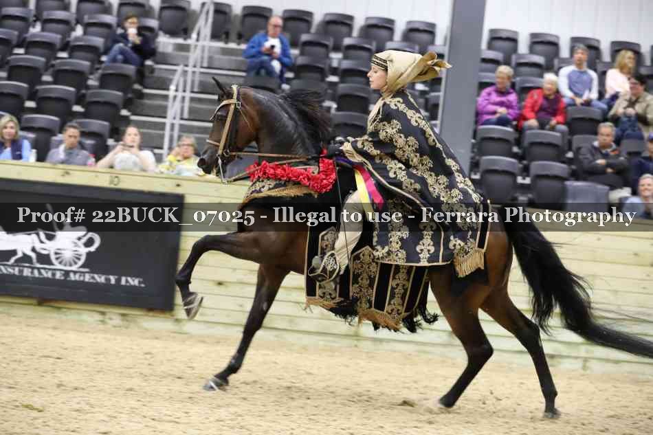 Proof 22BUCK_07025