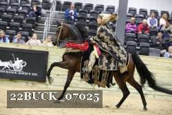 22BUCK_07025 proof