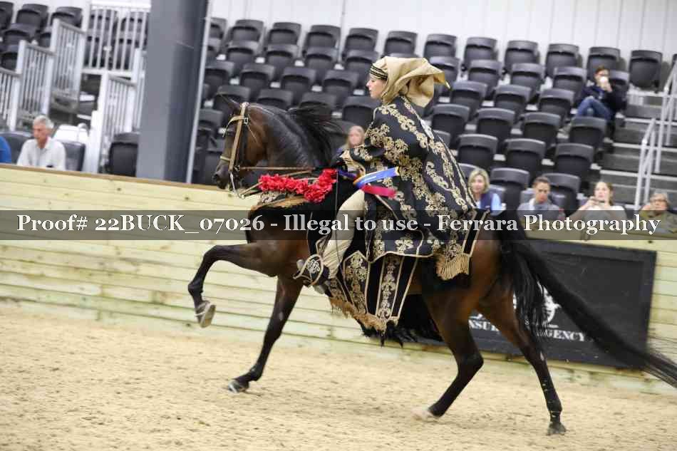 Proof 22BUCK_07026