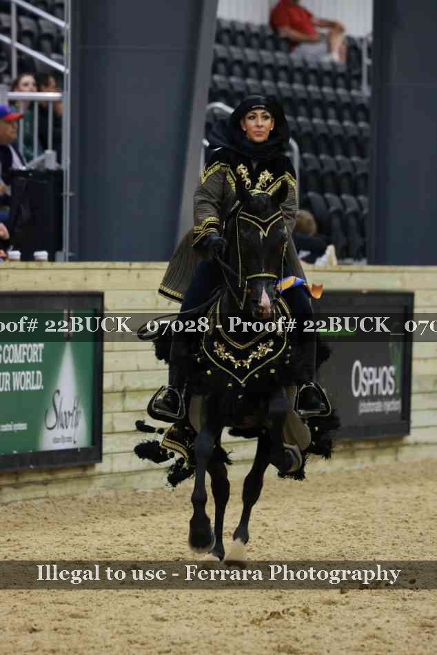 Proof 22BUCK_07028