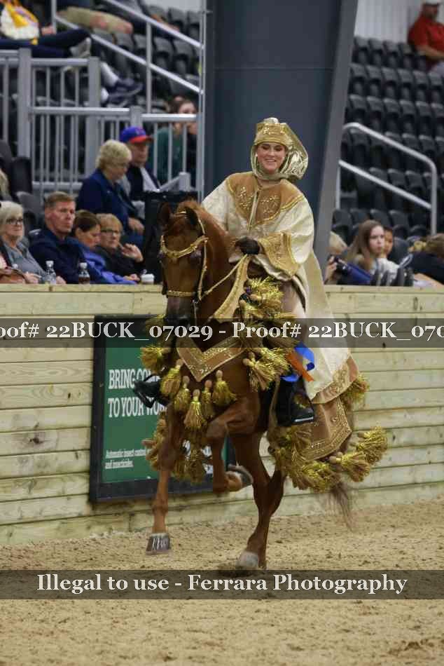 Proof 22BUCK_07029