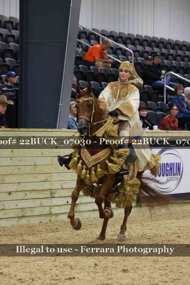 Proof 22BUCK_07030