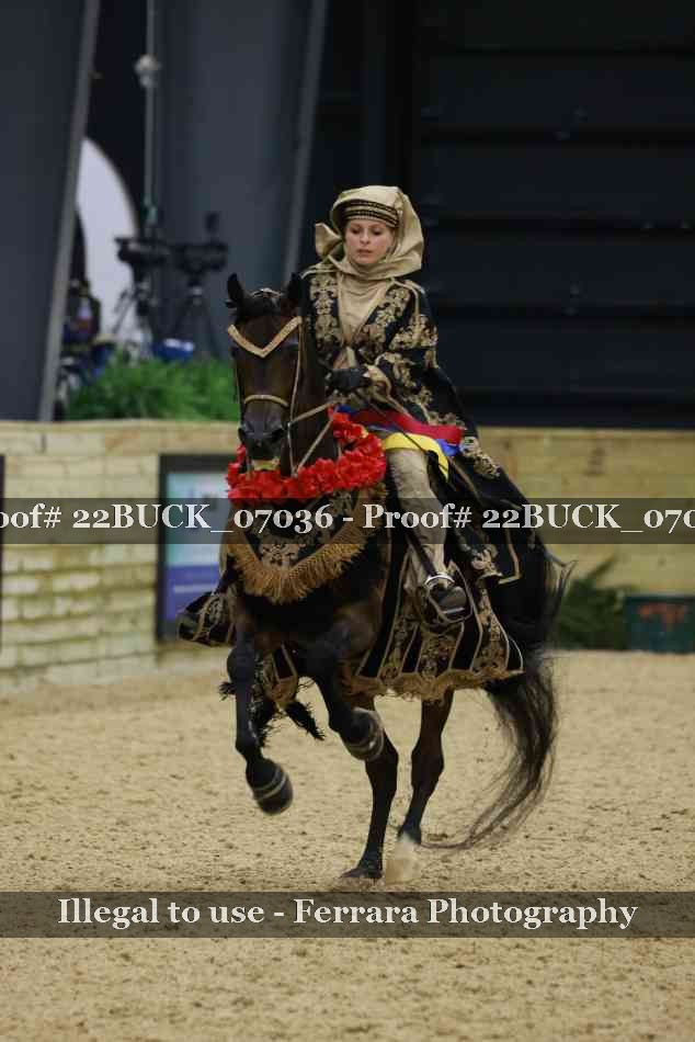 Proof 22BUCK_07036