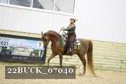 22BUCK_07040 proof