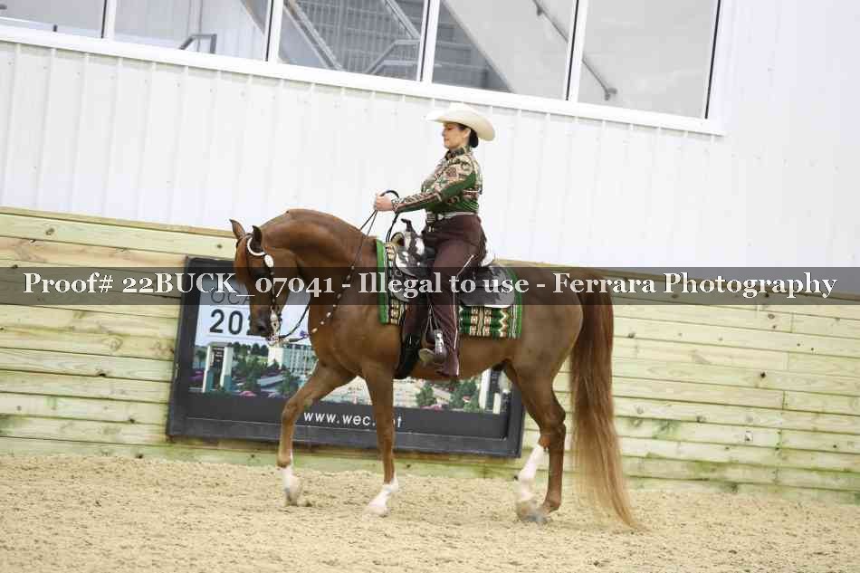 Proof 22BUCK_07041