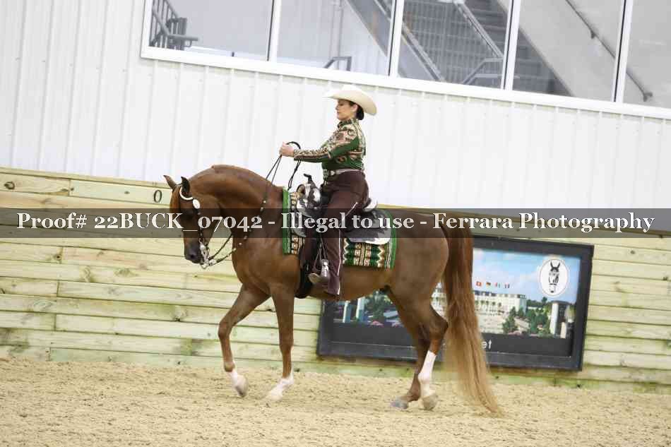 Proof 22BUCK_07042
