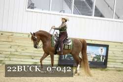 22BUCK_07042 proof