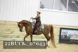 22BUCK_07043 proof