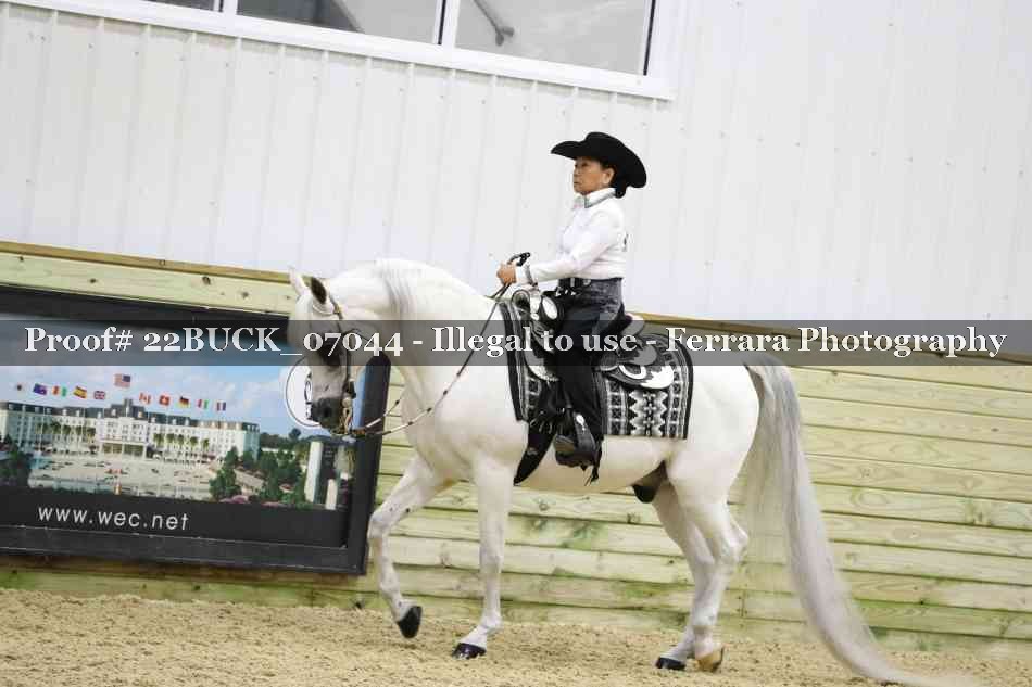 Proof 22BUCK_07044