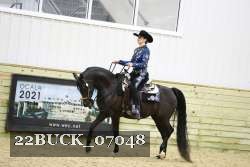 22BUCK_07048 proof