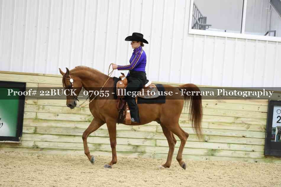 Proof 22BUCK_07055
