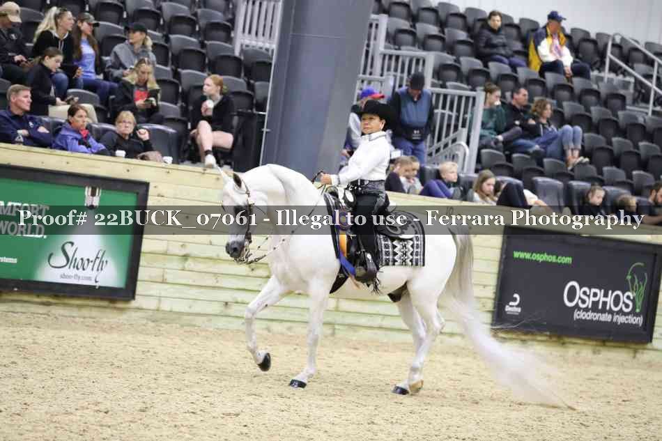 Proof 22BUCK_07061