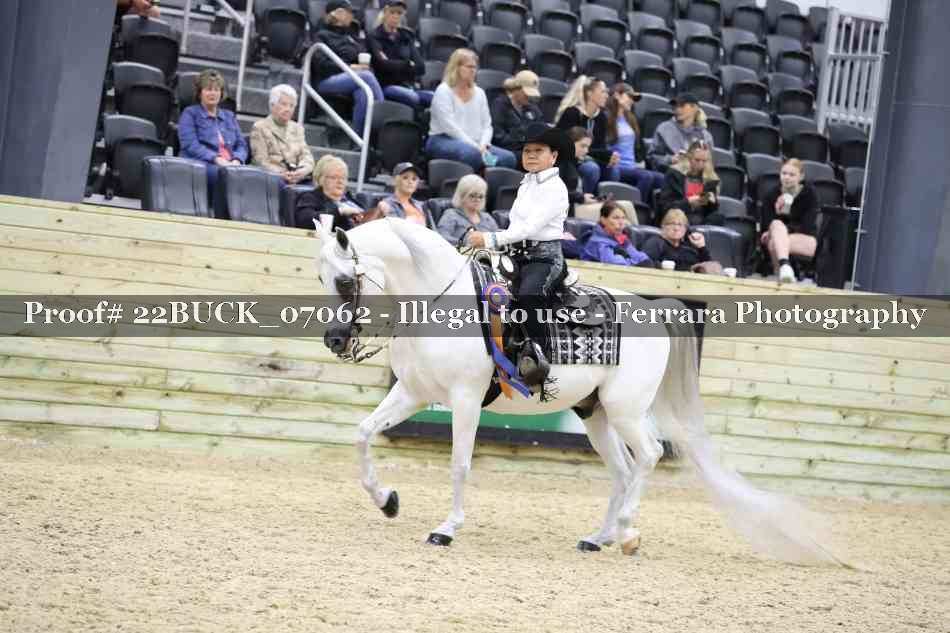 Proof 22BUCK_07062