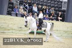 22BUCK_07062 proof