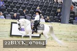 22BUCK_07064 proof