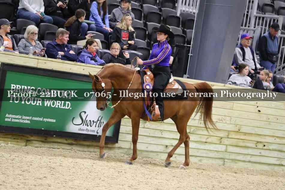 Proof 22BUCK_07065