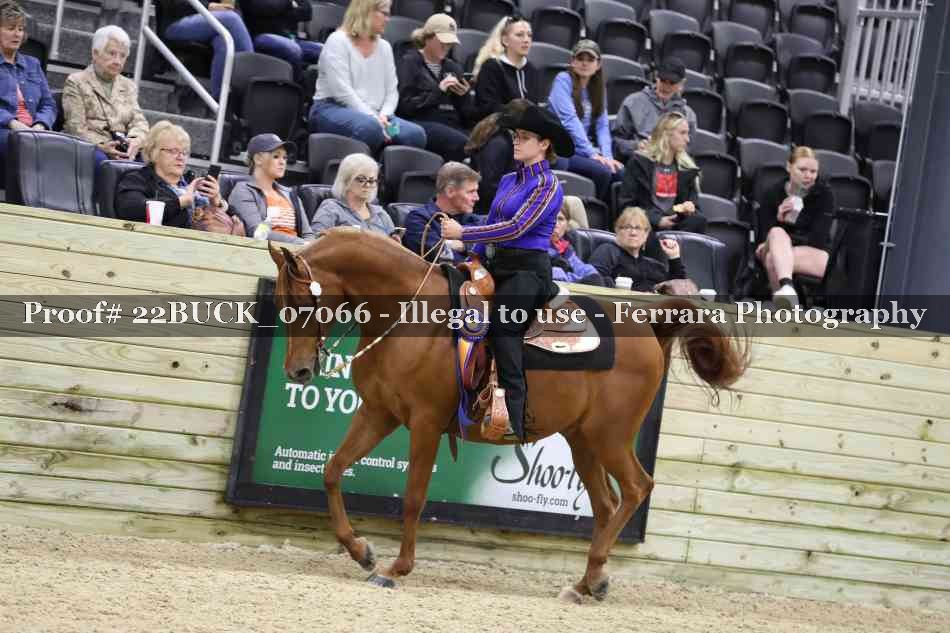 Proof 22BUCK_07066