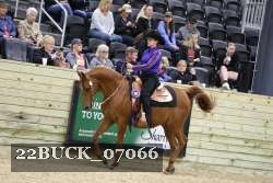 22BUCK_07066 proof