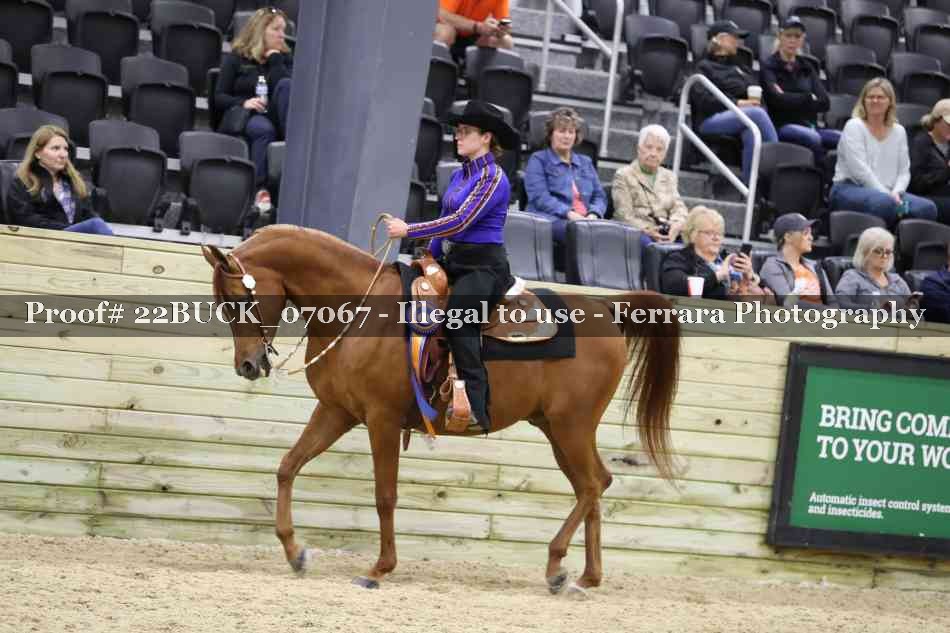 Proof 22BUCK_07067