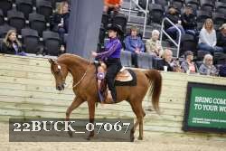 22BUCK_07067 proof