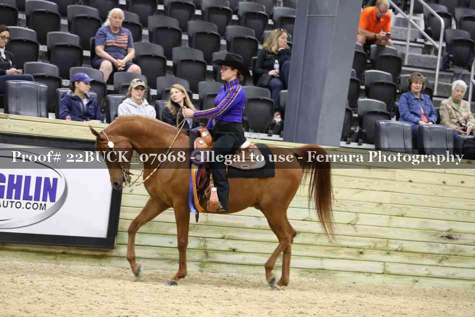 Proof 22BUCK_07068