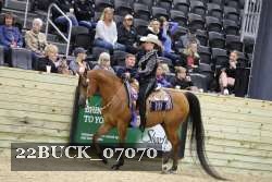 22BUCK_07070 proof
