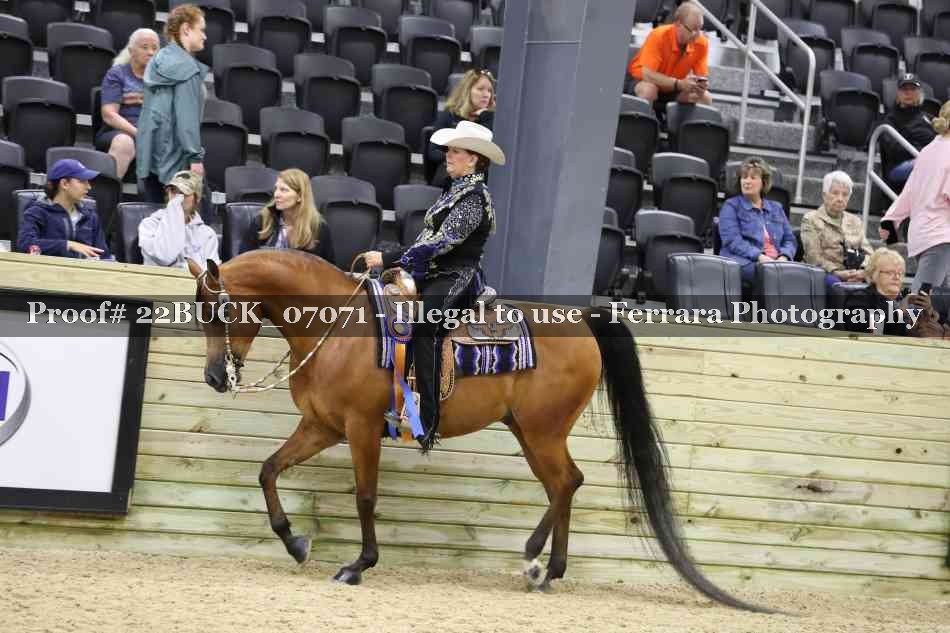 Proof 22BUCK_07071