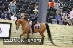 22BUCK_07071 proof