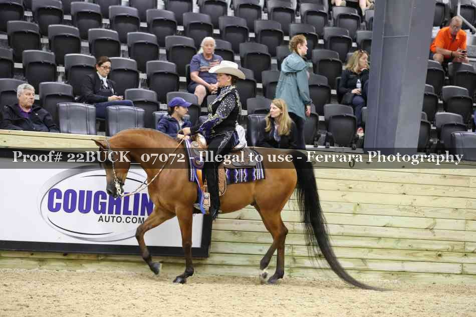 Proof 22BUCK_07072