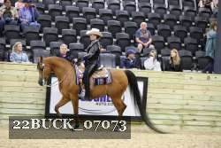 22BUCK_07073 proof