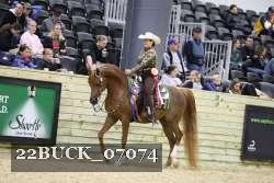 22BUCK_07074 proof