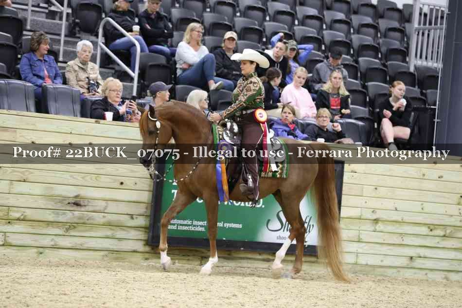 Proof 22BUCK_07075