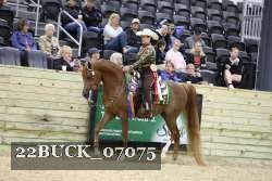 22BUCK_07075 proof