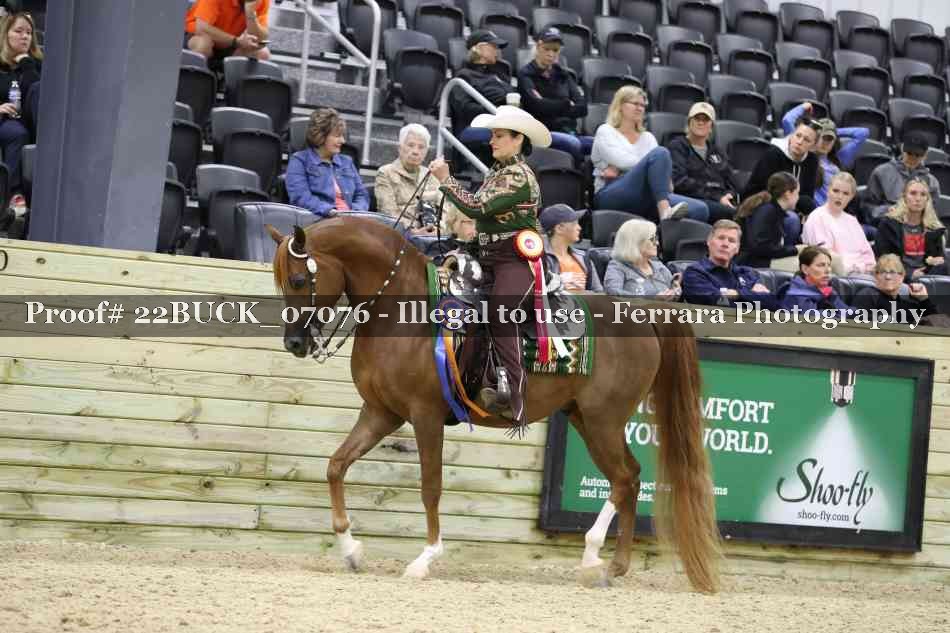Proof 22BUCK_07076