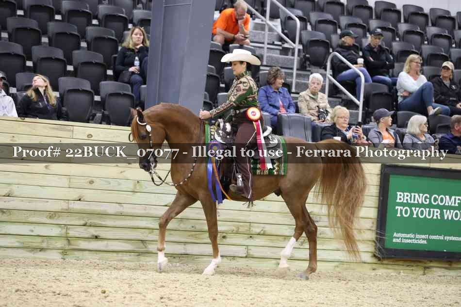 Proof 22BUCK_07077