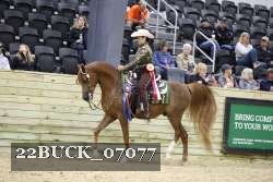 22BUCK_07077 proof