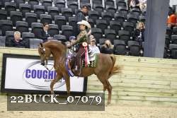 22BUCK_07079 proof