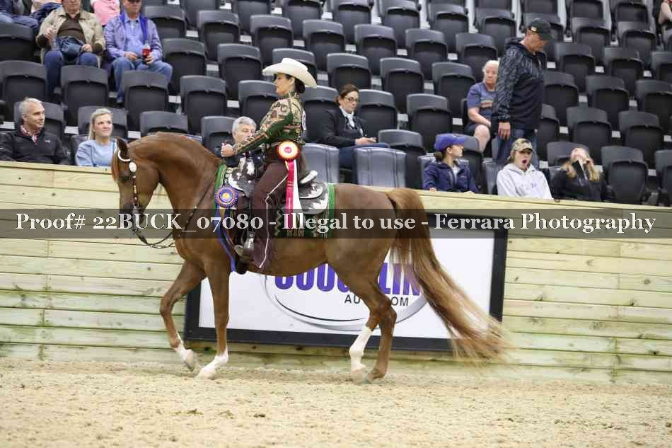Proof 22BUCK_07080