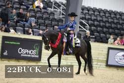 22BUCK_07081 proof