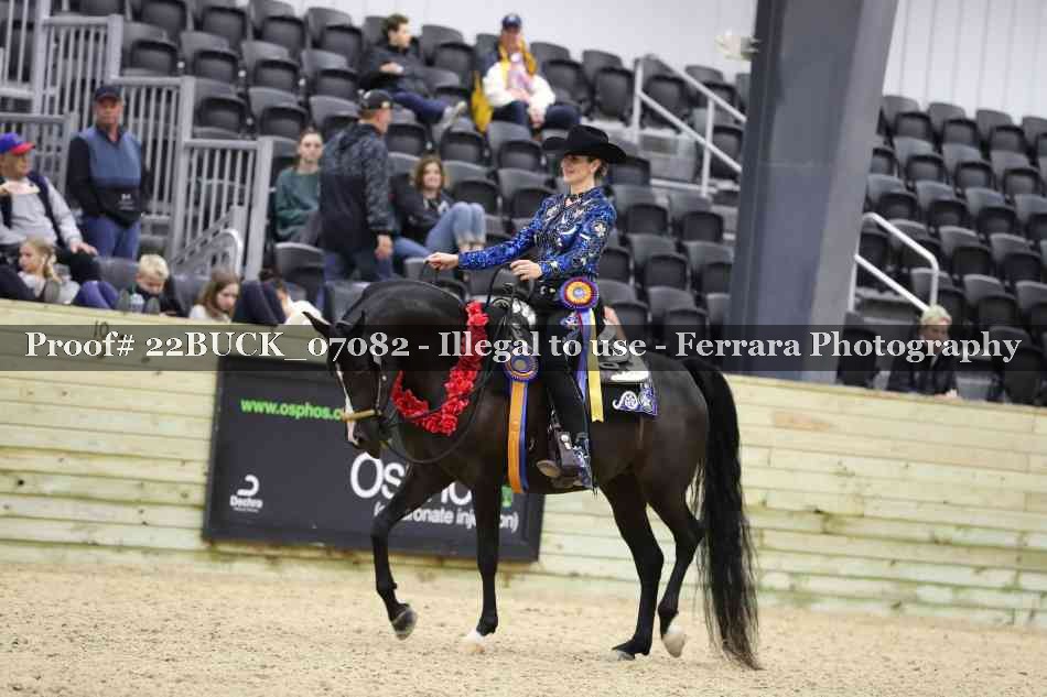 Proof 22BUCK_07082