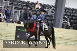 22BUCK_07082 proof