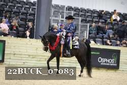 22BUCK_07083 proof