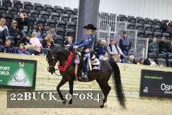 22BUCK_07084 proof