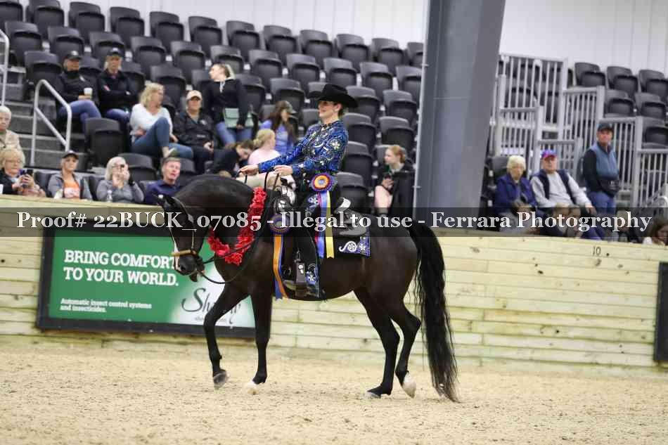 Proof 22BUCK_07085